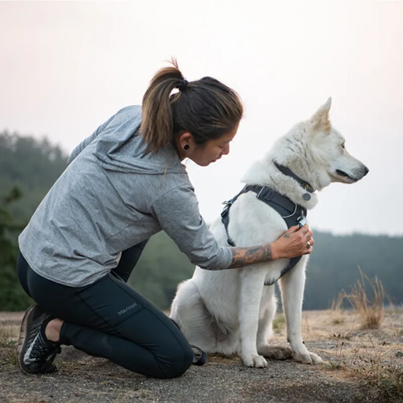 Ruffwear Front Range Harness - Basalt Gray-3